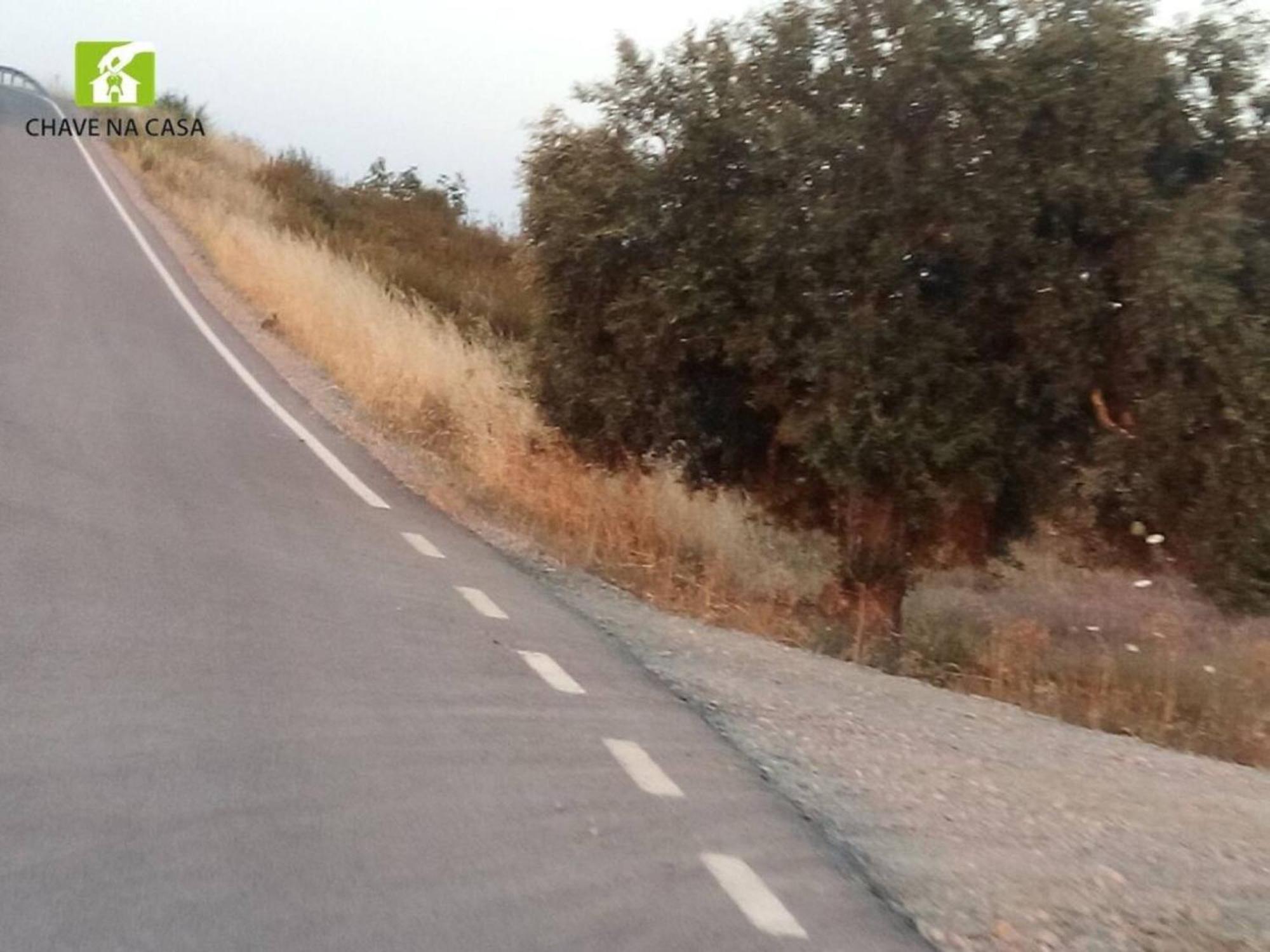 Casa Das Bonecas Farelos de Baixo Dış mekan fotoğraf