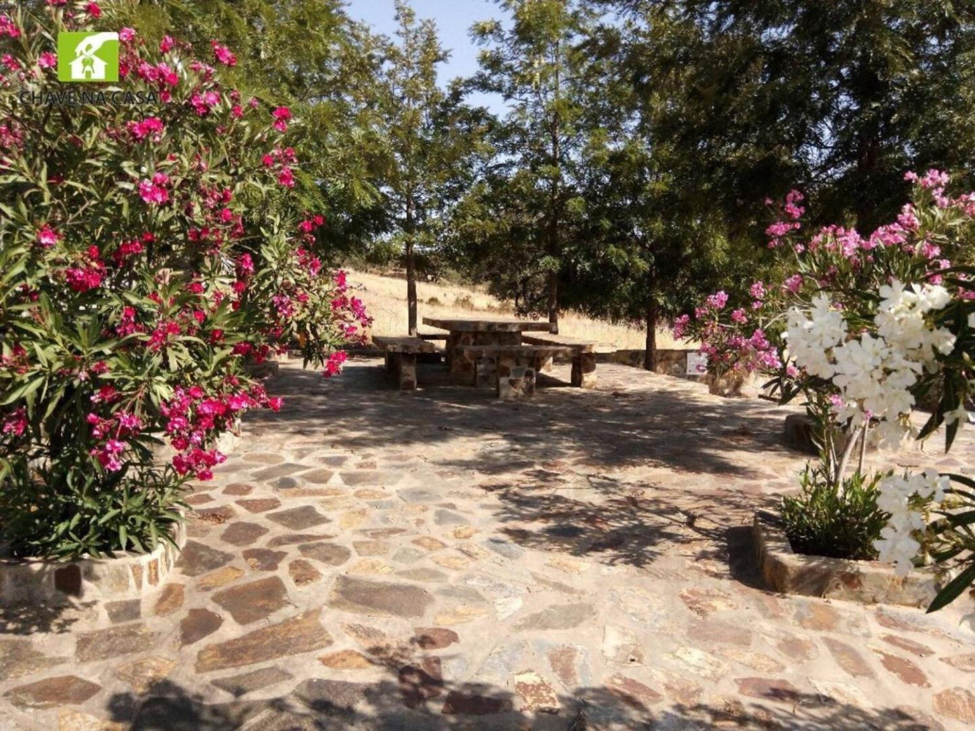 Casa Das Bonecas Farelos de Baixo Dış mekan fotoğraf